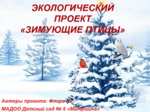 Презентация экологический проект Зимующие птицы