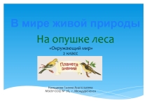Презентация по окружающему миру на тему В мире живой природы. На опушке леса (2 класс)