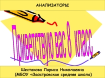 Вводный урок по теме анализаторы