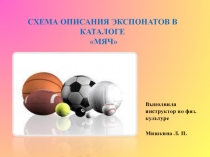 Схема описания экспонатов в каталоге Мяч