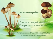 Презентация по биологии на тему Шляпочные грибы (5 класс)