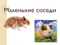Наши маленькие соседи