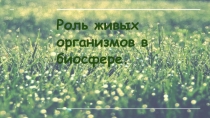Презентация по биологии ученика 11 класса Гаврилова Кирилла Роль живых организмов в биосфере