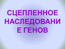 Презентация по биологии на тему Сцепленность с полом