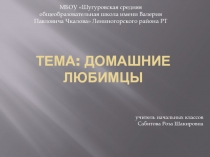 Презентация по окружающему миру на тему Домашние любимцы
