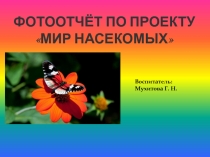 Проект на тему: Насекомые в старшей группе