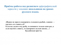 Развитие орфографической зоркости на уроках русского языка