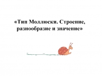 Презентация по биологии на тему Тип Моллюски