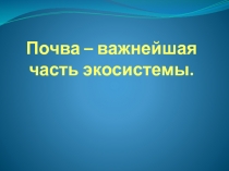 Презентация по окружающему миру на тему Почва