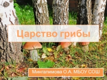 Презентация по биологии на тему грибы