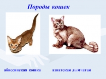 Презентация к классному часу