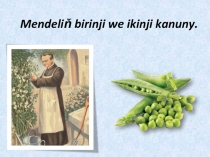 Biologiýa dersinden Mendeliň 1-nji we 2-nji kanunyna degişli sapak