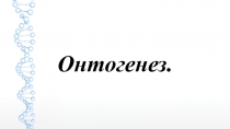 Презентация по биологии для 9 класса на тему Онтогенез