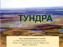 Презентация занятия по теме Тундра (4 класс)