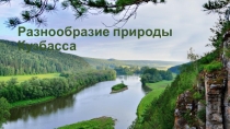Презентация Разнообразие природы Кузбасса