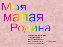 Презентация по внеурочной деятельности Я - гражданин России на тему Моя малая Родина.