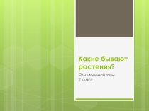 Презентация по окружающему миру Какие бывают растения