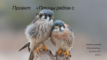 Творческий, познавательный проект Птицы рядом с нами