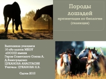 Презентация по биологии (селекция) Породы лошадей