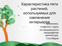 Презентация по ландшафтному дизайну на тему Характеристика пяти растений, используемых для озеленения интерьеров