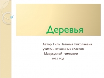 Презентация Деревья ( 2 класс)