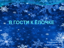 Презентация Путешествие в лес за ёлочкой