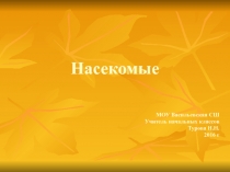 Презентация по окружающему миру на тему Насекомые