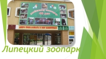 Презентация по окружающему миру на тему Липецкий зоопарк