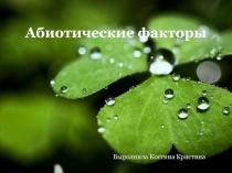 Презентация по биологии на тему: Абиотические факторы среды