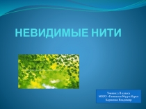 Презентация по окружающему миру на тему Невидимые нити (2 класс)