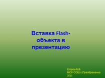 Презентация для учителя Вставка Flash-объекта в презентацию