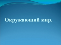 Презентация к уроку окружающего мира Вода на Земле. Океаны и моря.