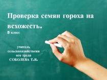 Презентация к практической работе Проверка семян гороха на всхожесть  5 класс