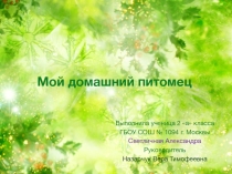 Презентация по окружающему миру на тему Домашние животные