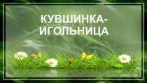 Презентация по технологии . Работа с бумагой и картоном.Кувшинка-игольница