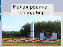 Презентация по окружающему миру :Моя малая родина