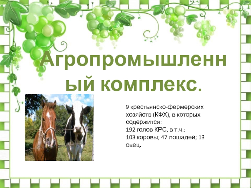 Презентация по краеведению на тему Числа вокруг нас Агропромышленный комплекс.9 крестьянско-фермерских хозяйств (КФХ), в которых содержится: 192 голов КРС, Агропромышленный комплекс.9 крестьянско-фермерских хозяйств (КФХ), в которых содержится: 192 голов КРС, в т.ч.: 103 коровы; 47 лошадей;