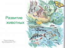 Развитие животных