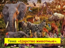 Презентация по биологии для 5 класса на тему: Царство животные.