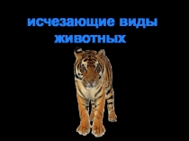 Презентация к интегрированному уроку по русскому языку и окружающему миру Учимся правильно писать безударные личные окончания глаголов