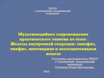 Мультимедийное сопровождение практического занятия по теме Вилочковая железа, надпочечники, поджелудочная и половые железы