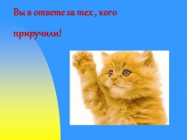 Проект (презентация) на тему Мы в ответе за тех, кого приручили. Внеурочное занятие 4 класса.