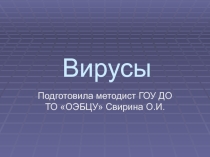 Презентация по биологии Вирусы