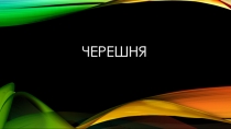 Детская презентация на тему мой любимый фрукт черешня