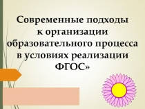 Современные подходы к организации образовательного процесса в условиях реализации ФГОС