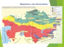 Презентация по познанию мира на тему Растения и животные степи