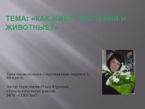 Презентация по окружающему миру на тему Как живут растения и животные?