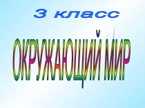 Презентация по окр миру Европа.Северные страны(3 класс)