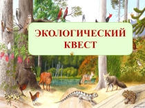 Экологический квест Флора и фауна в опасности