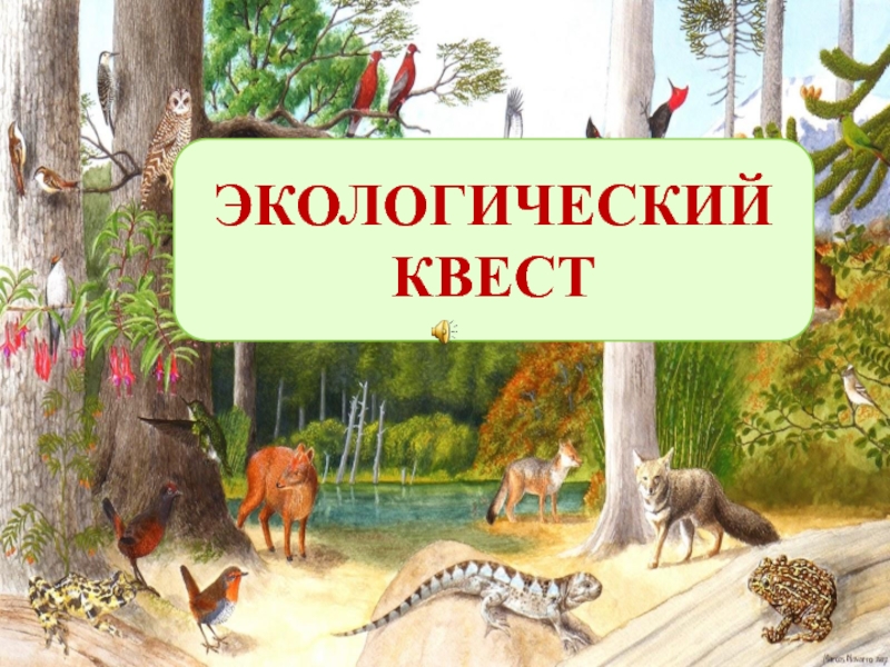 Экологический квест Флора и фауна в опасности